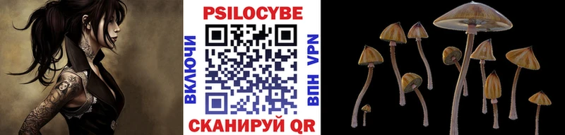 Псилоцибиновые грибы GOLDEN TEACHER  наркотики  Калач-на-Дону 